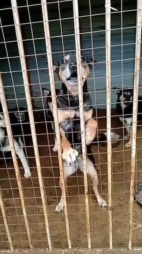  :   !.     &quot; &quot;   !        50 ,      135000 