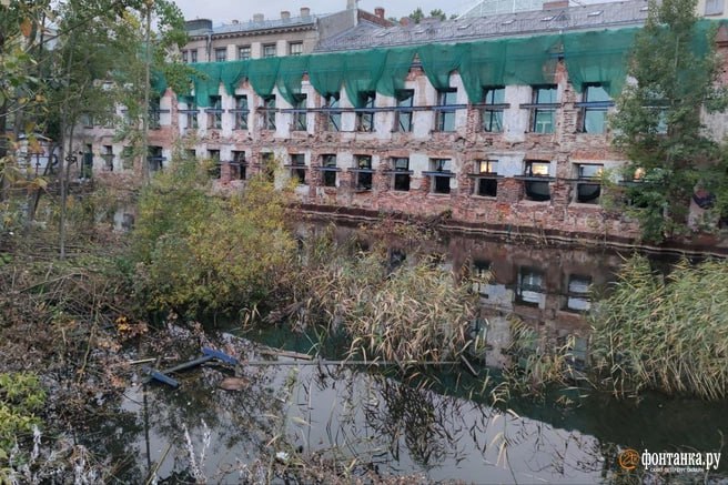 Пробирная палата, которая на много лет превратилась в пруд с камышами и деревьями на канале Грибоедова, обретает свои прежние очертания Пробирная палата, которая на много лет превратилась в пруд с камышами и деревьями на канале Грибоедова, обретает свои прежние очертания