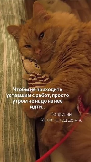 Михаил Онуфриенко: Воистину!. @Mikle1On