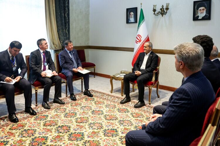 Елена Панина: Иран предложил Таджикистану совместную валюту с перспективой расширения