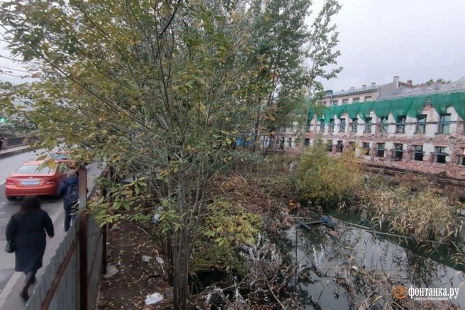 Пробирная палата, которая на много лет превратилась в пруд с камышами и деревьями на канале Грибоедова, обретает свои прежние очертания Пробирная палата, которая на много лет превратилась в пруд с камышами и деревьями на канале Грибоедова, обретает свои прежние очертания