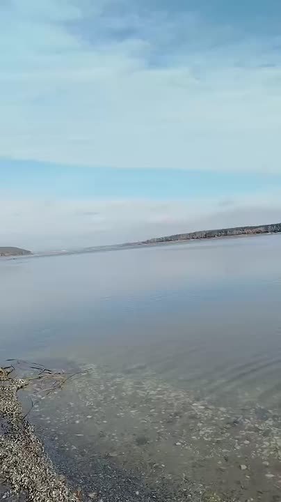 После разрушения ВСУ Белгородского водохранилища Северский Донец на севере Харьковской области выходит из берегов