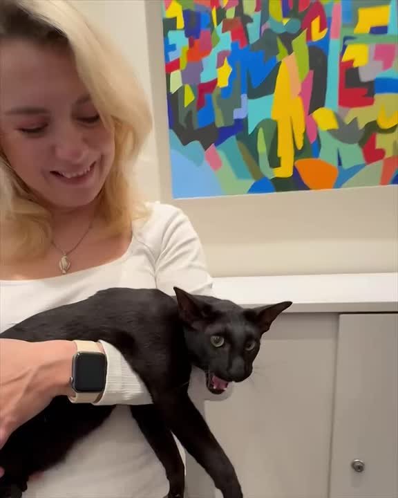 Внимание Вы посмотрели в глаза Люциферу