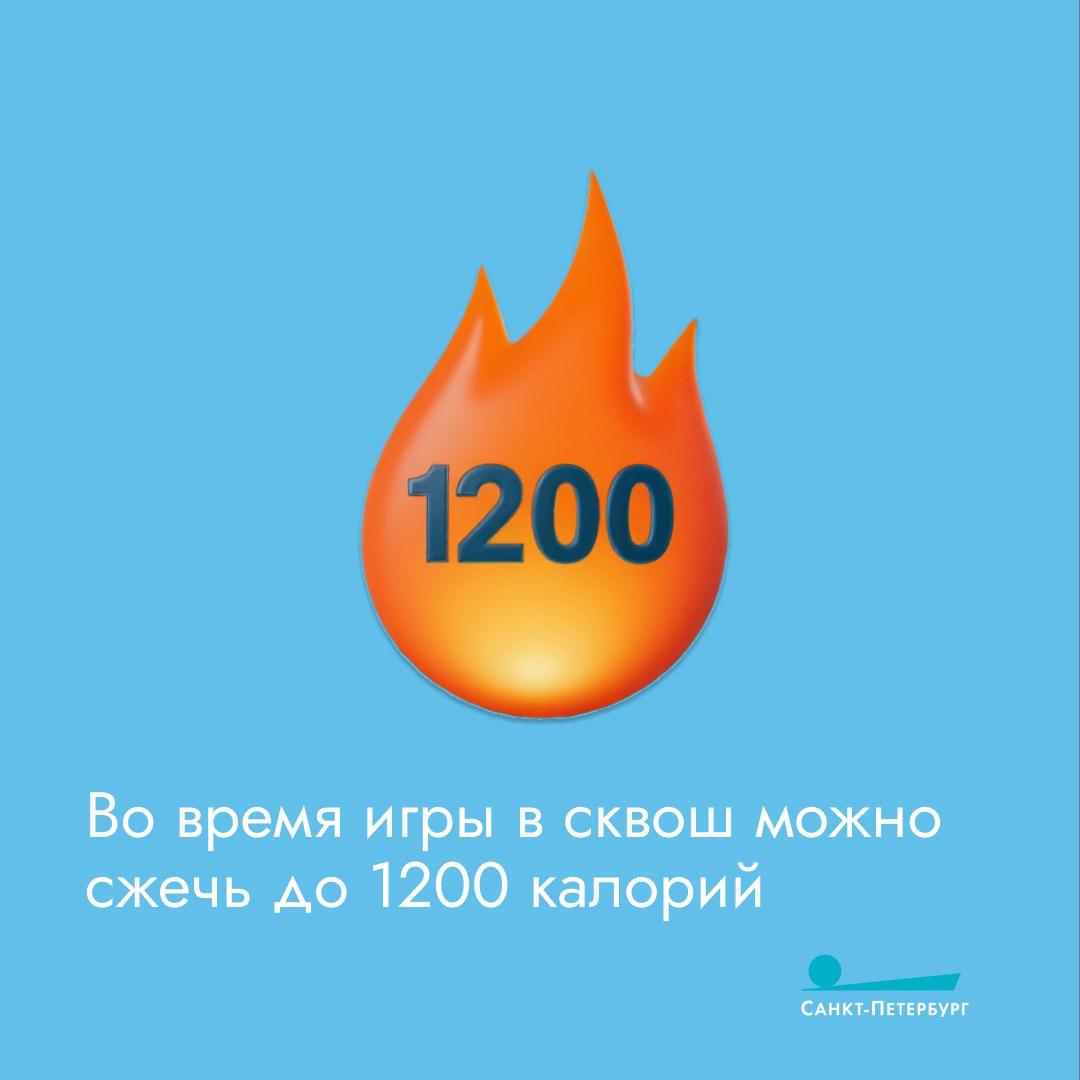 Название «сквош» происходит от глагола «squash», что в переводе на русский значит «раздавить» или «расплющить» Название «сквош» происходит от глагола «squash», что в переводе на русский значит «раздавить» или «расплющить»