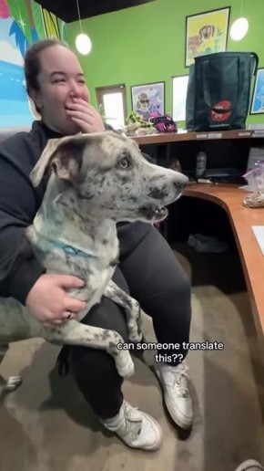 Обычный разговор в офисе.. Доброе утро, друзья! ——————