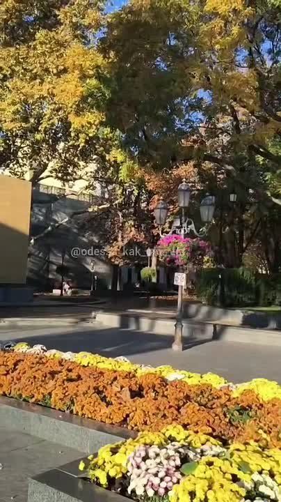 Юлия Витязева: Может, оно и к лучшему.. Может, и не нужно сейчас Александру Сергеевичу видеть все то, что происходит в нынешней Одессе… (Это я себя так успокаиваю, чтоб не злиться)