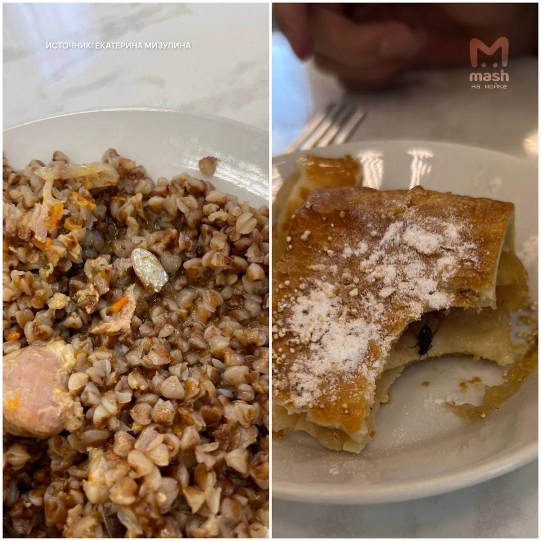 Массовое отравление произошло в колледже "Звёздный" — семерым студентам уже поставили диагноз "гастроэнтерит"