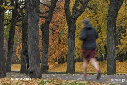 Осенние дожди откладываются в Петербурге