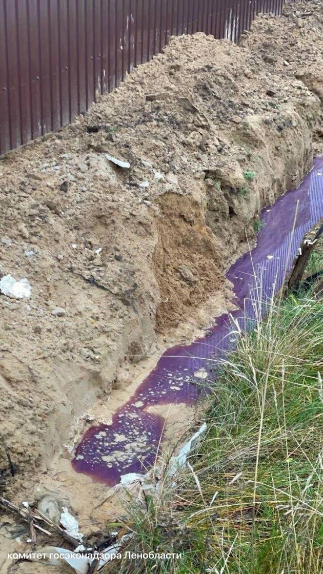 Экологи проверяют сине-фиолетовые стоки с завода косметики после жалоб жителей Разметелево Экологи проверяют сине-фиолетовые стоки с завода косметики после жалоб жителей Разметелево