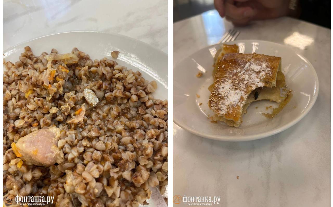 Массовое отравление случилось в петербургском колледже «Звездный» Массовое отравление случилось в петербургском колледже «Звездный»