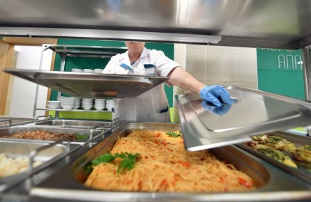 СКР и прокуратура проверят петербургский колледж «Звездный» после массового отравления