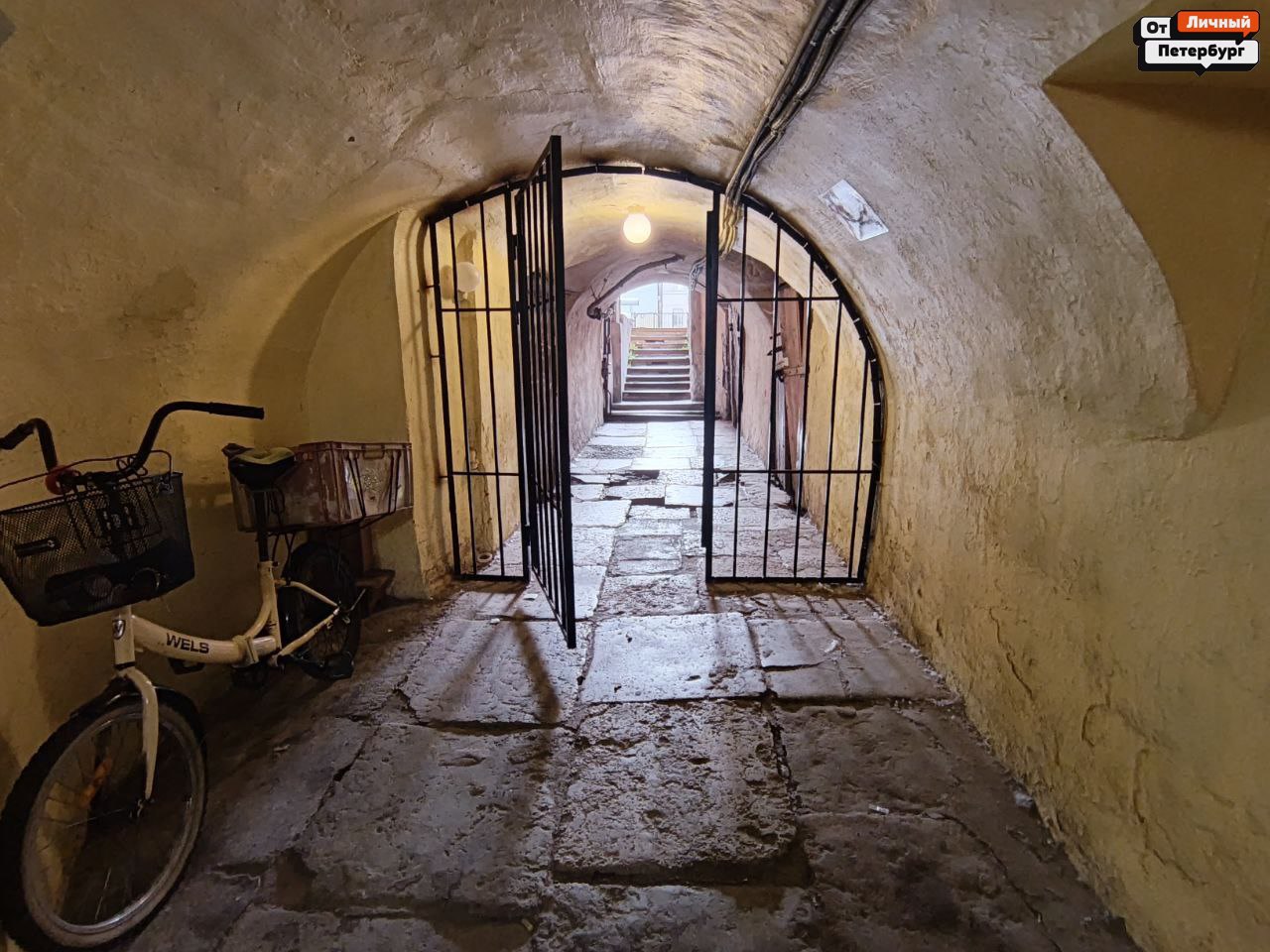 Котики и рыбки в парадной Васильевского острова на 1-й линии Котики и рыбки в парадной Васильевского острова на 1-й линии