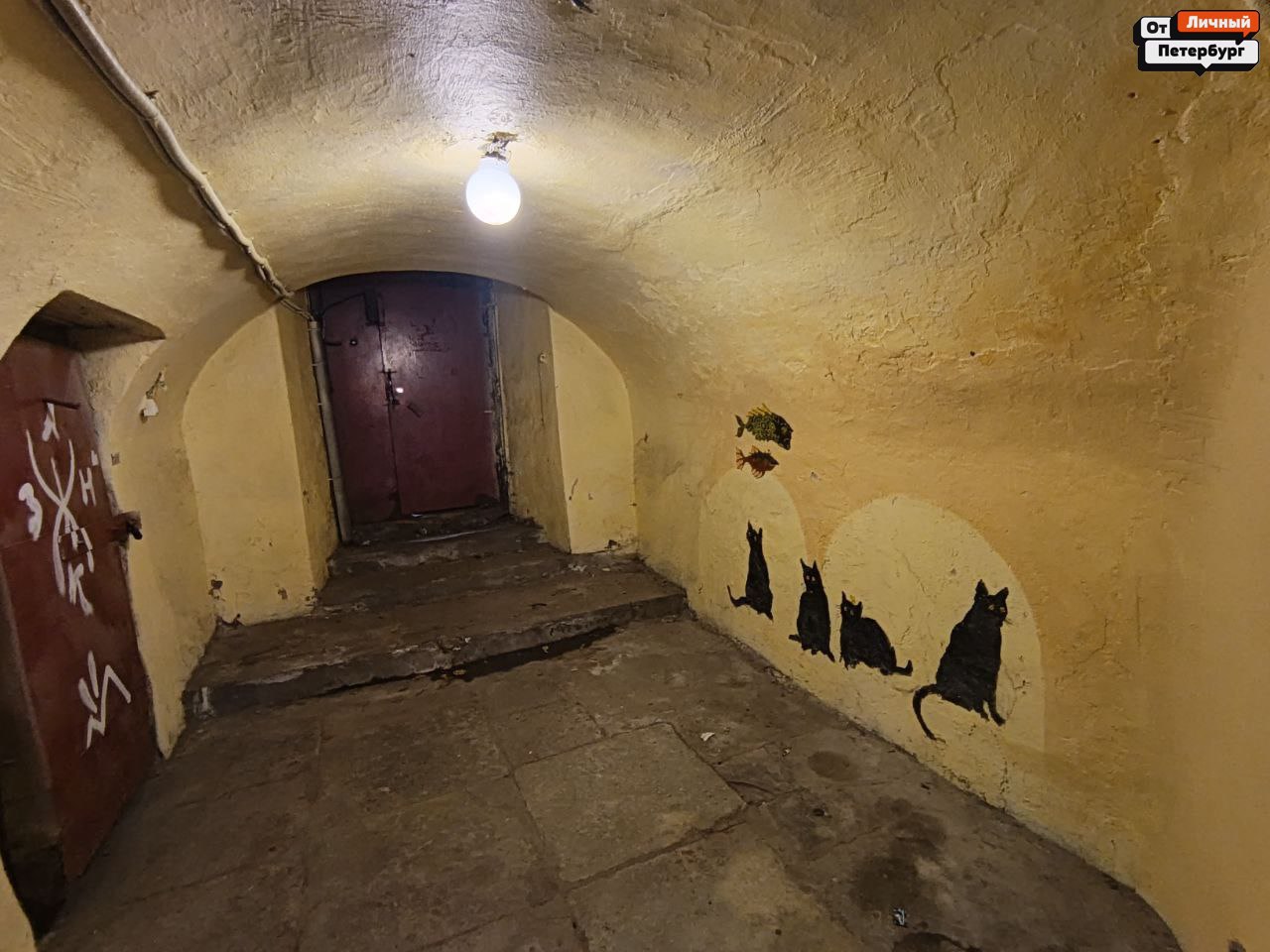 Котики и рыбки в парадной Васильевского острова на 1-й линии