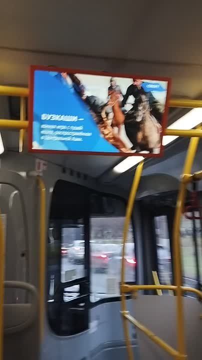 "Бузкаши похоже на поло, но вместо мяча обезглавленная туша козла"