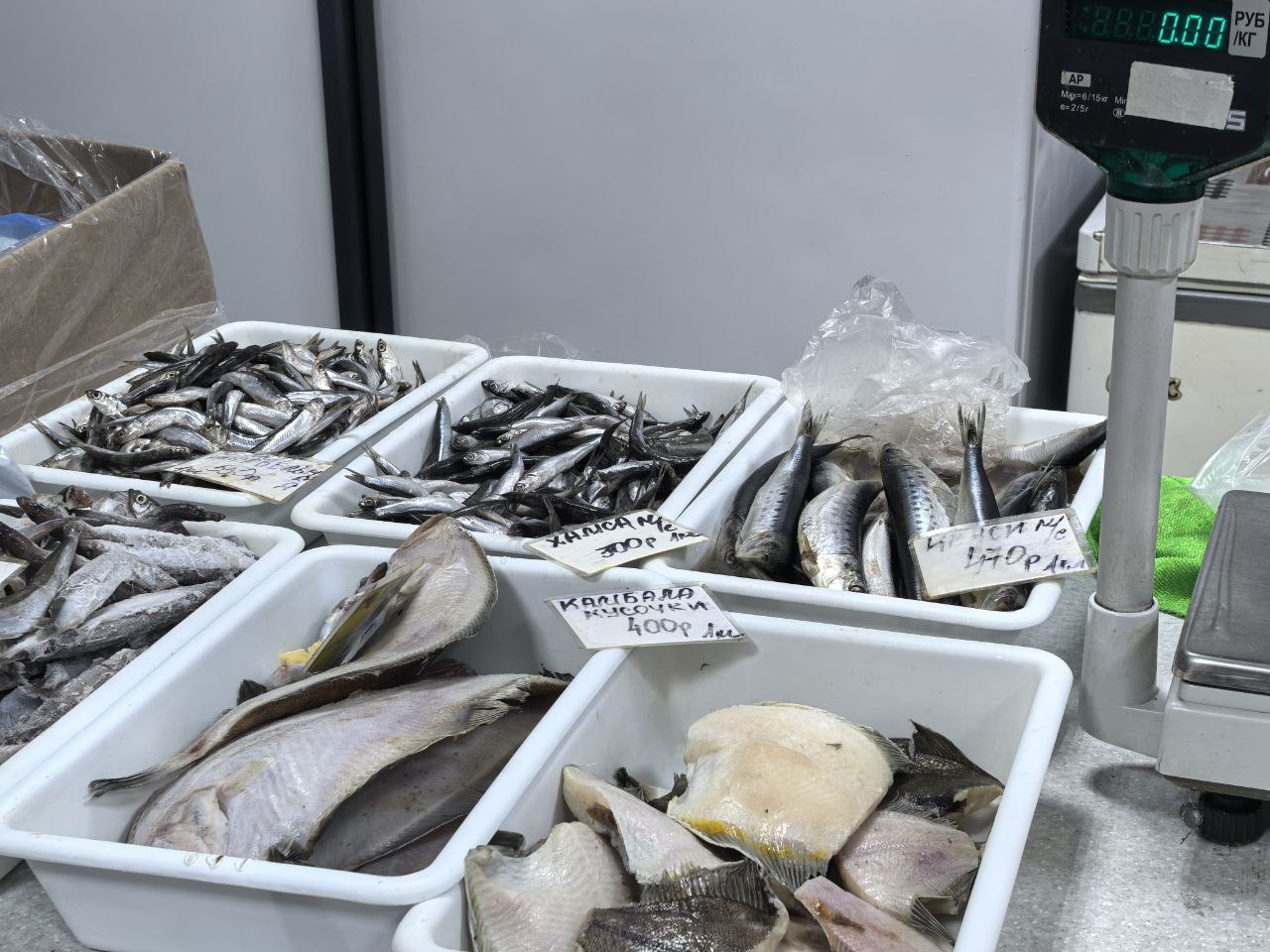 Крым. Морепродуктов стало меньше из-за мер безопасности и чудовищных цен на топливо