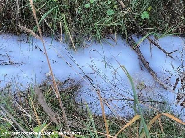 Экологи проверяют сине-фиолетовые стоки с завода косметики после жалоб жителей Разметелево