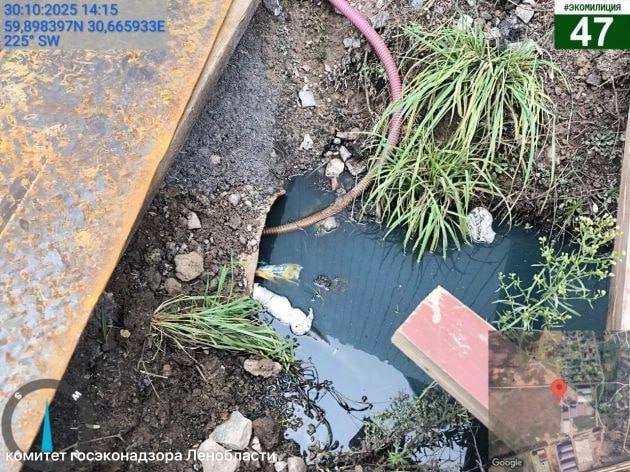 Экологи проверяют сине-фиолетовые стоки с завода косметики после жалоб жителей Разметелево Экологи проверяют сине-фиолетовые стоки с завода косметики после жалоб жителей Разметелево