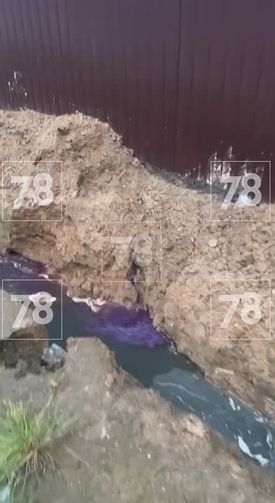 Некрасиво получилось: производитель косметики отравил отходами почву и воду в Разметелево