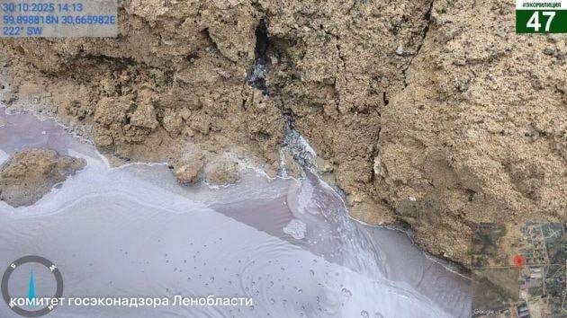 Экологи проверяют сине-фиолетовые стоки с завода косметики после жалоб жителей Разметелево Экологи проверяют сине-фиолетовые стоки с завода косметики после жалоб жителей Разметелево