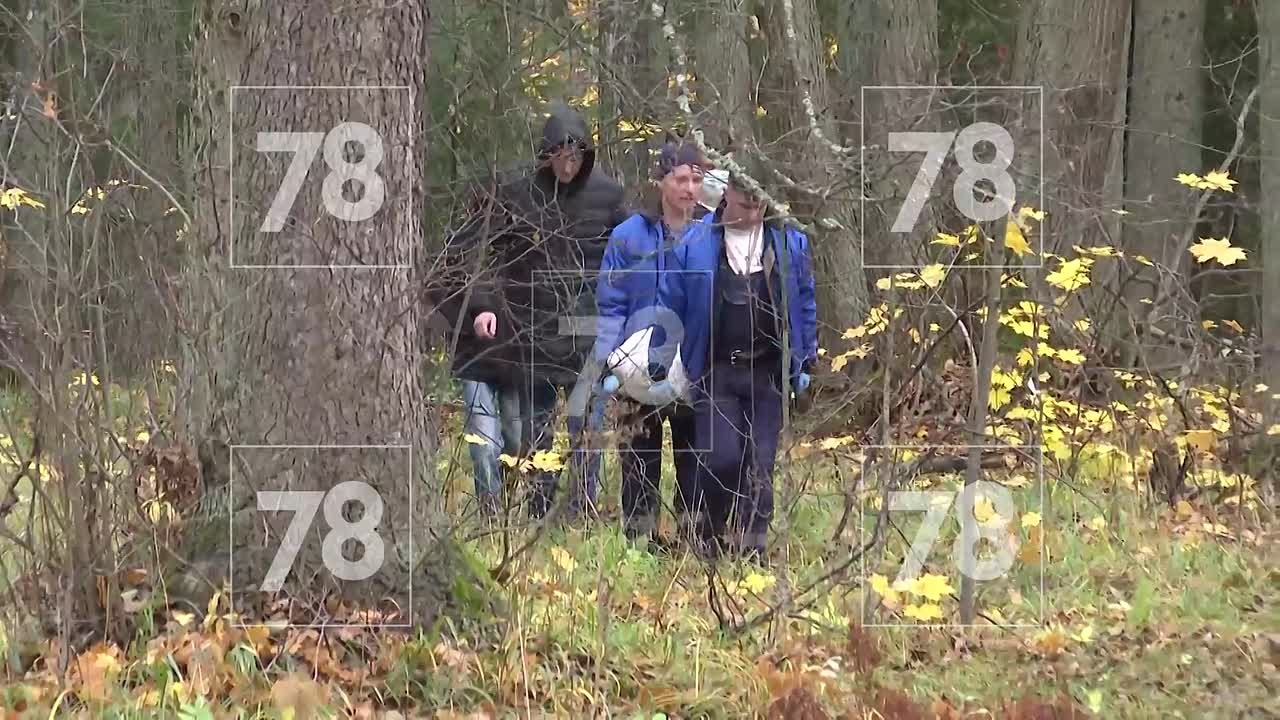 В парке Сергиевка найден труп пропавшего ранее студента из Улан-Удэ