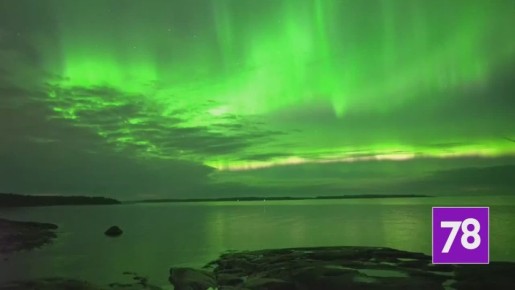 Северное сияние озарило небо над Ленобластью