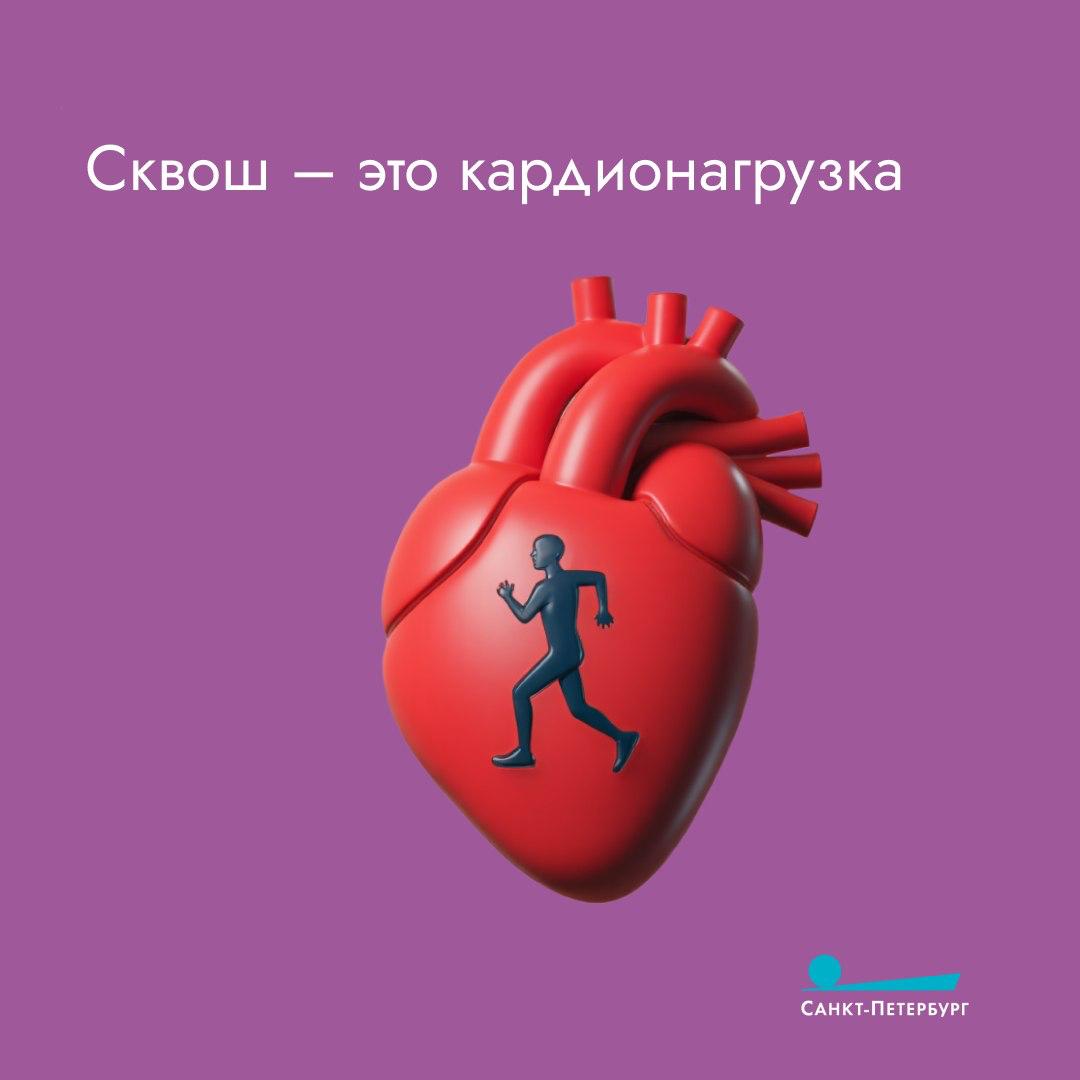 Название «сквош» происходит от глагола «squash», что в переводе на русский значит «раздавить» или «расплющить» Название «сквош» происходит от глагола «squash», что в переводе на русский значит «раздавить» или «расплющить»