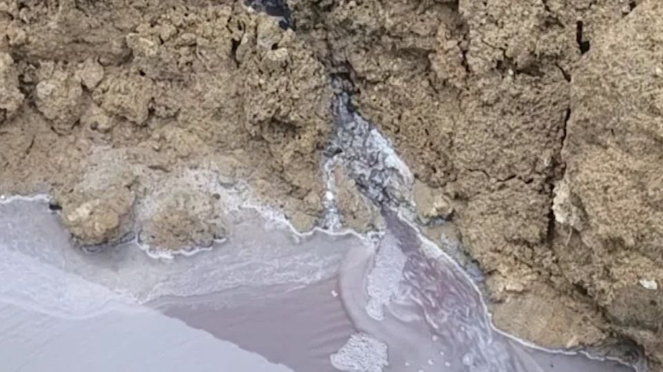 Производитель косметики травит воду в деревне Разметелево