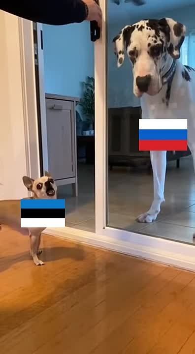 Юлия Витязева: Прелестно!. И, что главное, так и есть