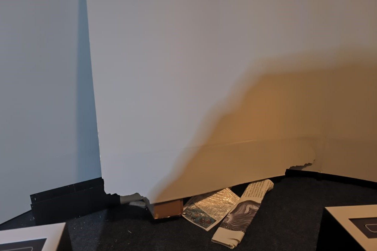 В Шереметевский дворец пробрался незваный гость В Шереметевский дворец пробрался незваный гость