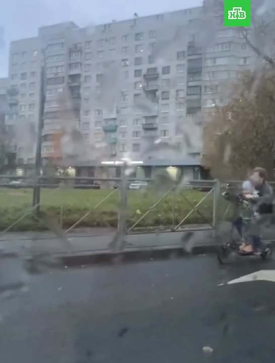 В Петербурге на Лабораторном проспекте появился свой отец года