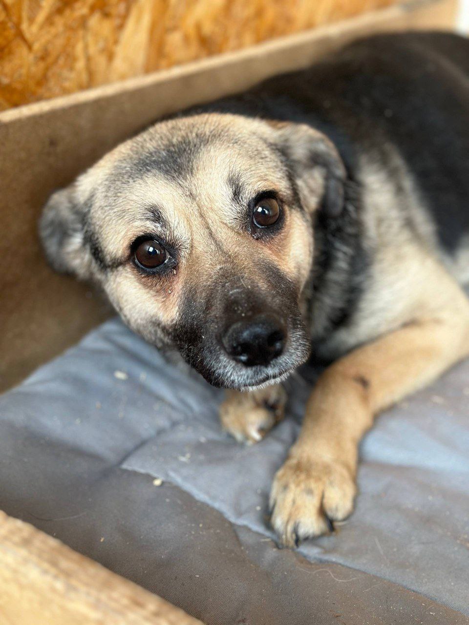 Юрий Баранчик: Друзья, если у Вас есть возможность, не в ущерб себе, помогите пожалуйста приюту @serdce_druga Юрий Баранчик: Друзья, если у Вас есть возможность, не в ущерб себе, помогите пожалуйста приюту @serdce_druga