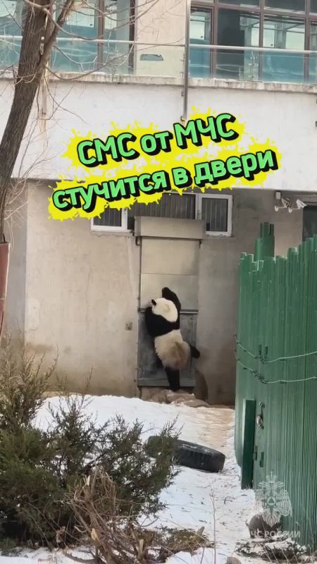 #_ :    &quot;- &quot; , 1       500   