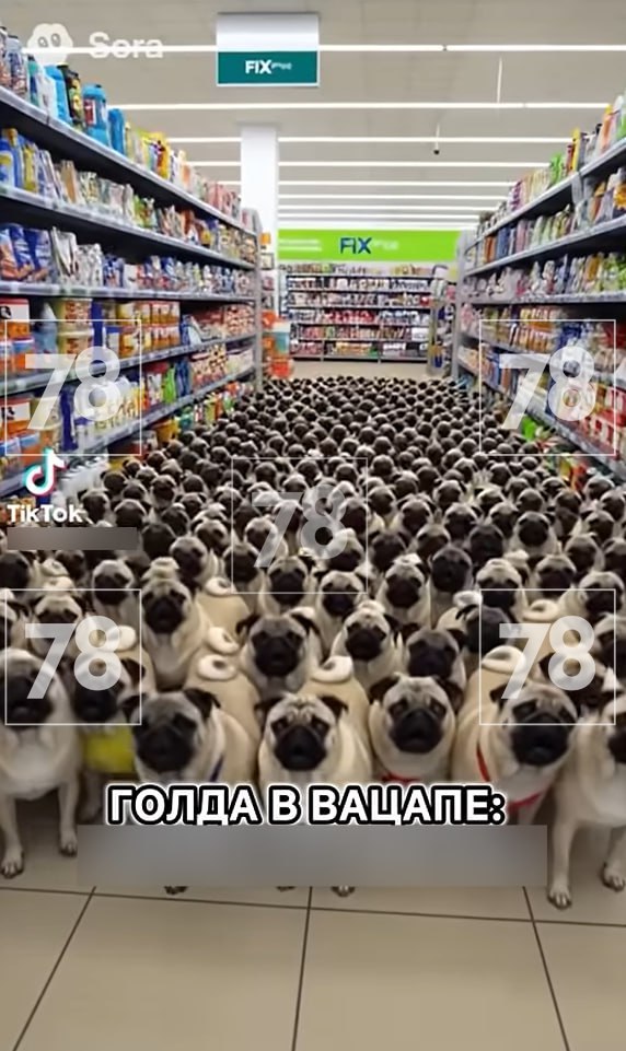 Силовики задержали блогера-мошенника, выманивавшего у малолетних подписчиков данные банковских карт Силовики задержали блогера-мошенника, выманивавшего у малолетних подписчиков данные банковских карт