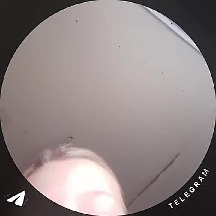 Юлия Витязева: Уважаемые родители! Следите, пожалуйста, за тем, что снимают и выкладывают в сеть ваши дети!