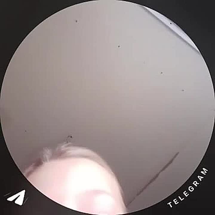 Юлия Витязева: Уважаемые родители! Следите, пожалуйста, за тем, что снимают и выкладывают в сеть ваши дети!