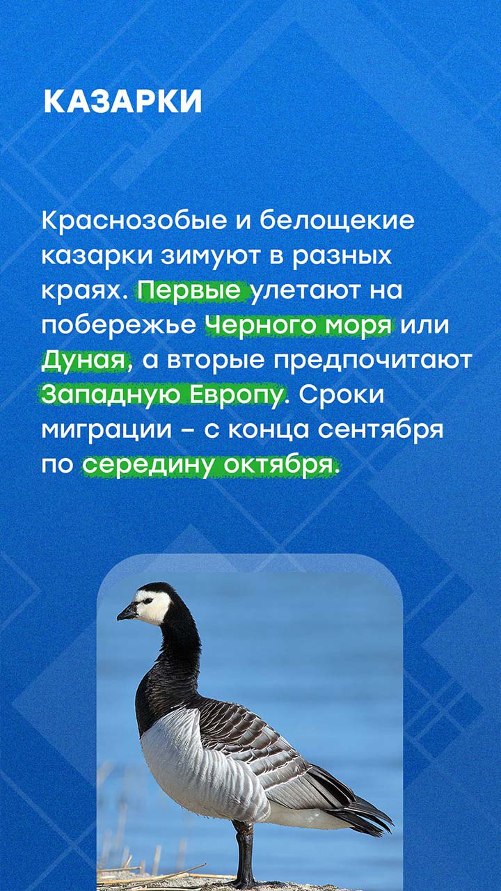 В Петербурге наступили осенние холода В Петербурге наступили осенние холода