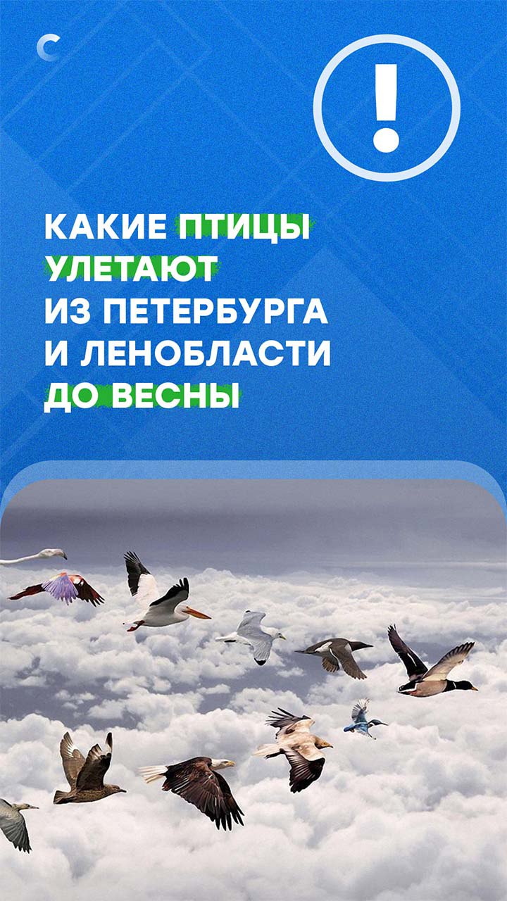 В Петербурге наступили осенние холода