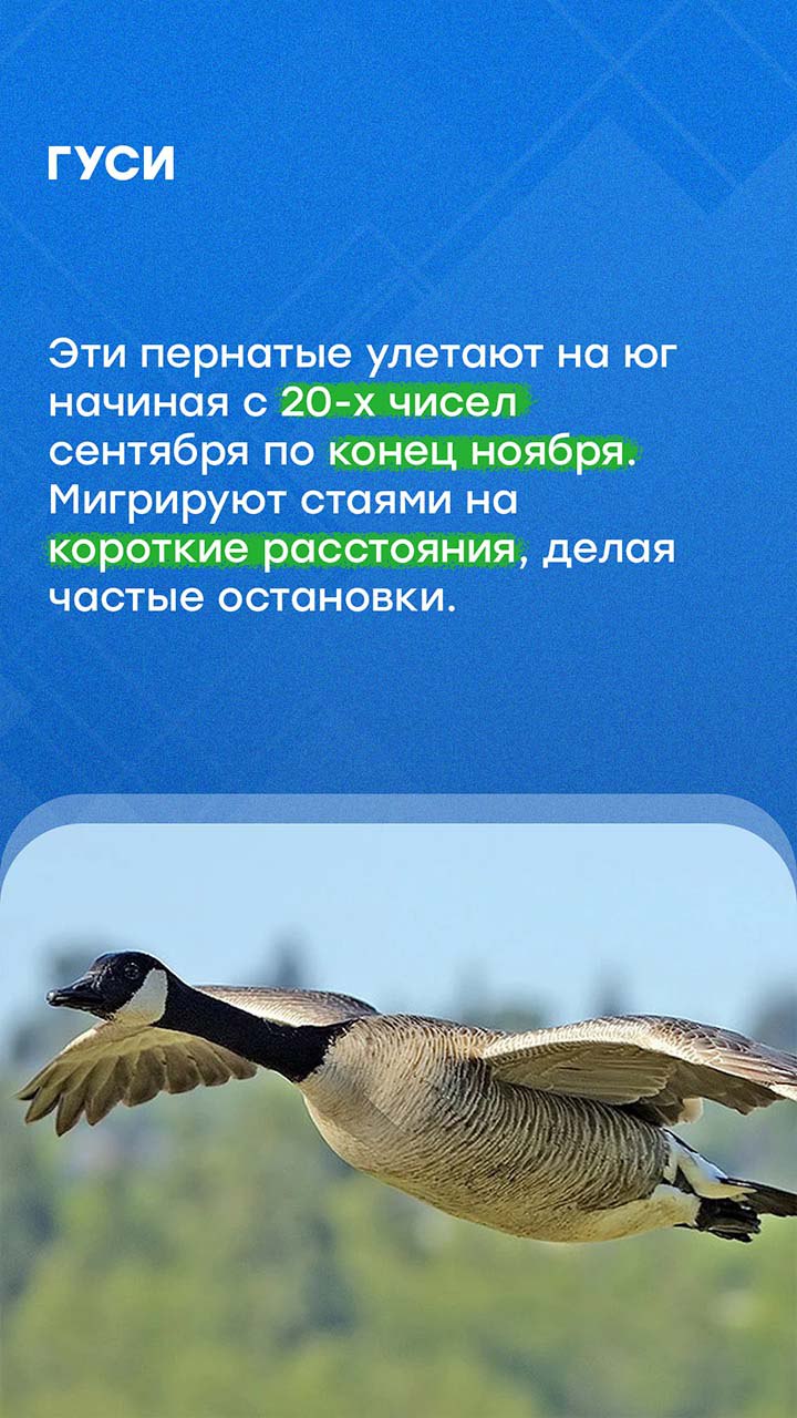 В Петербурге наступили осенние холода В Петербурге наступили осенние холода
