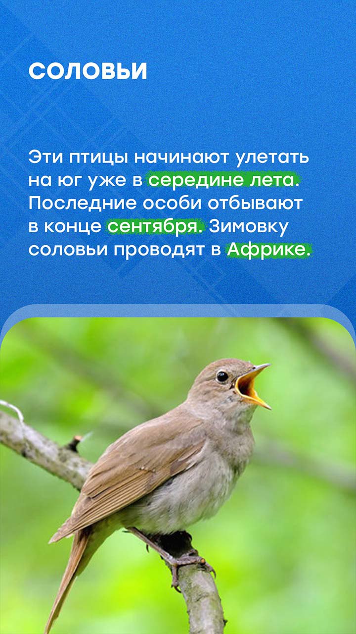 В Петербурге наступили осенние холода В Петербурге наступили осенние холода