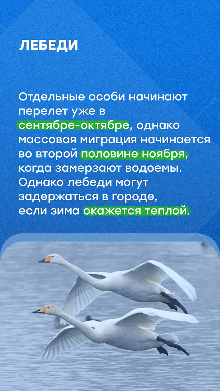 В Петербурге наступили осенние холода В Петербурге наступили осенние холода