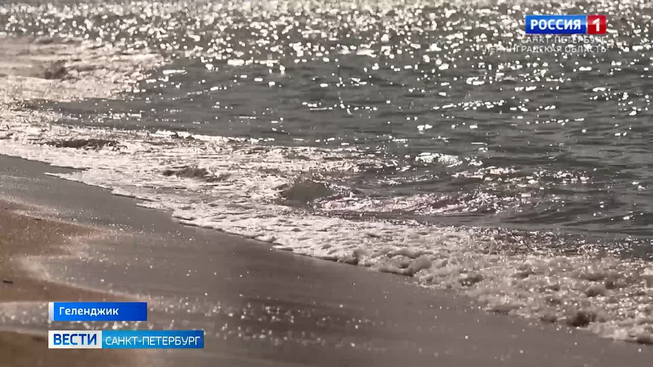 Культурный, деловой и исторический обмены: как налажен диалог между Петербургом и Геленджиком