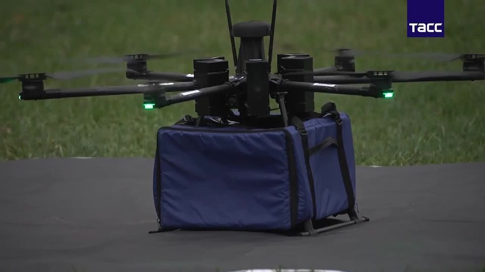 Wildberries       -        ,  