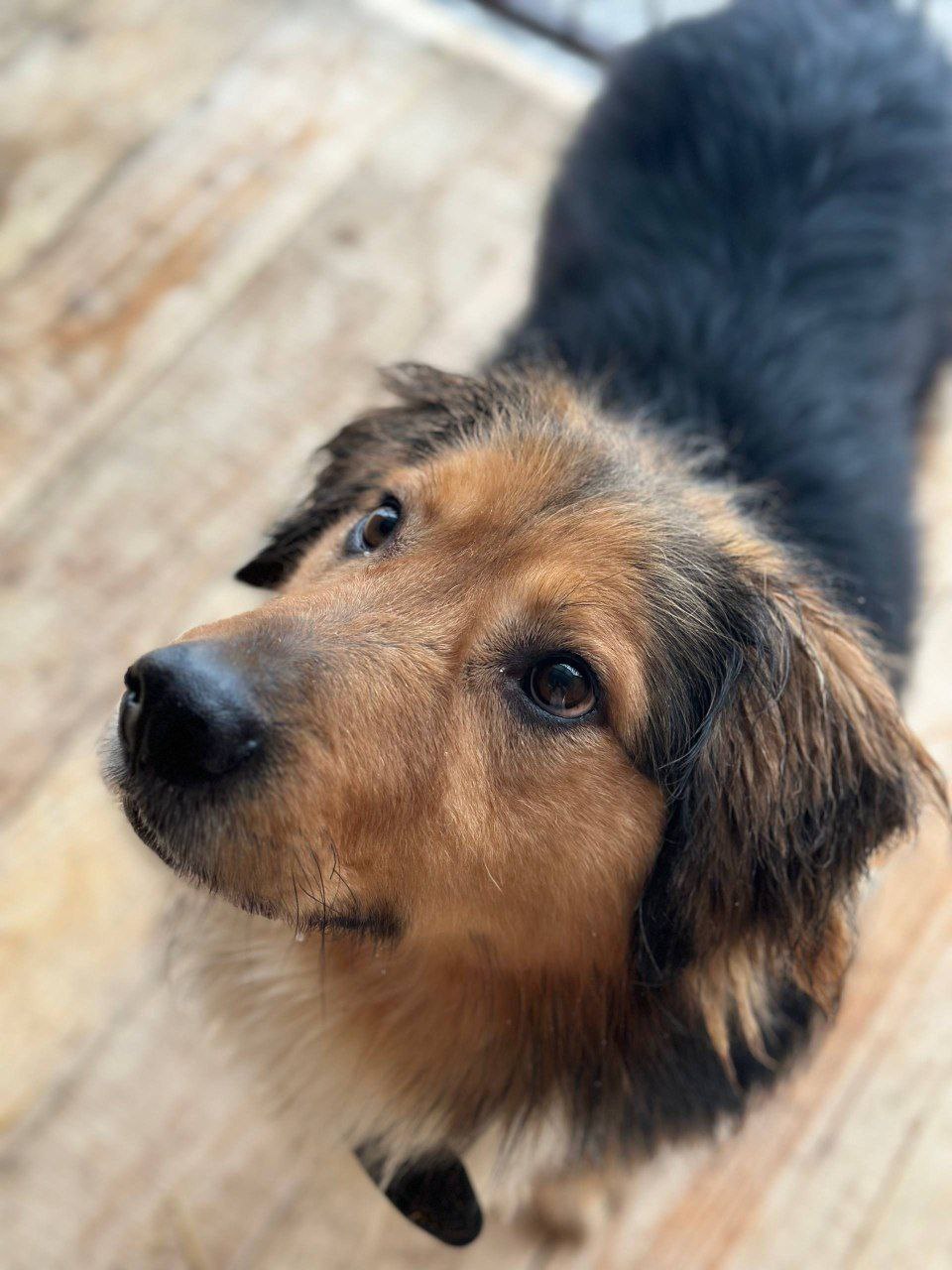 Юрий Баранчик: Друзья, если у Вас есть возможность, не в ущерб себе, помогите пожалуйста приюту @serdce_druga Юрий Баранчик: Друзья, если у Вас есть возможность, не в ущерб себе, помогите пожалуйста приюту @serdce_druga