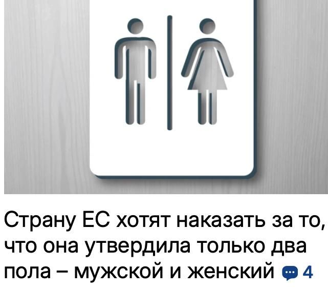  :      ,                 ,   VSquare