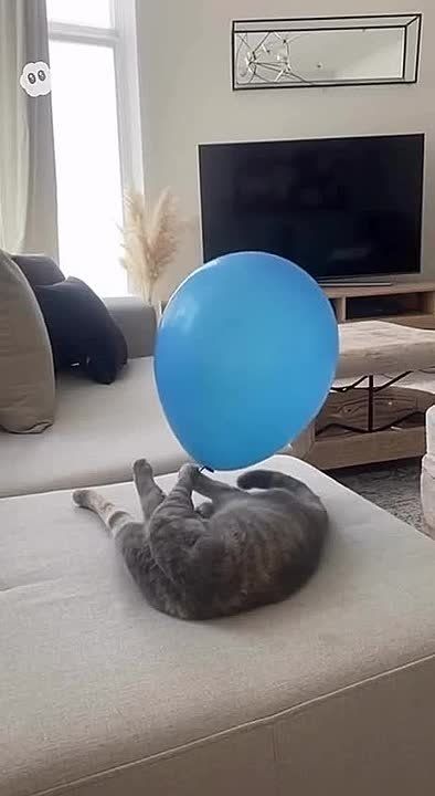 Юлия Витязева: Мизансцена дня.. Прибалтийский тигр и метеозонд из Белоруссии