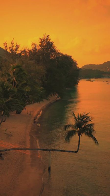 Спокойной ночи, друзья!. ——————