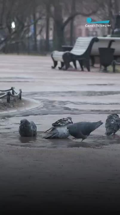 В первый день ноября температура понизиласть еще на один градус