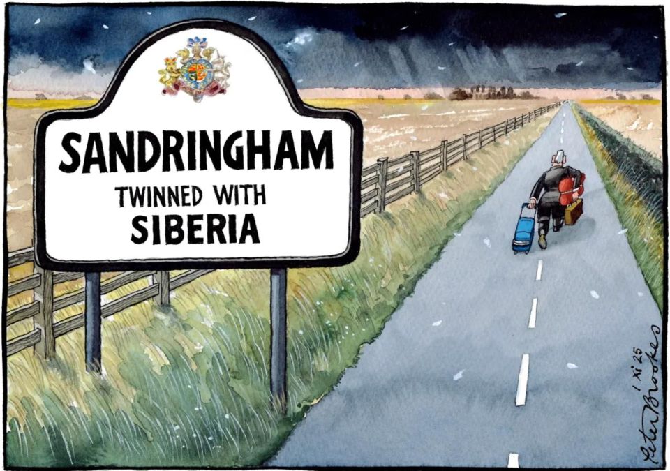  : ,     ,  ,                -     ...