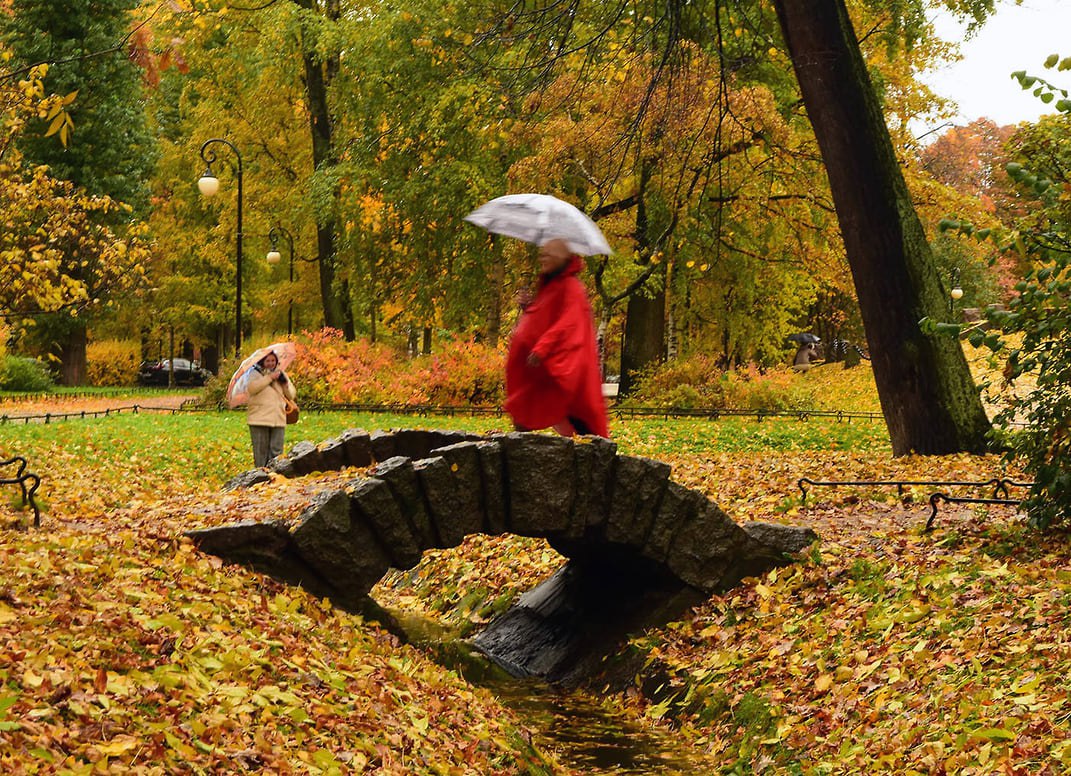 Первый день ноября принесет Петербургу небольшие дожди