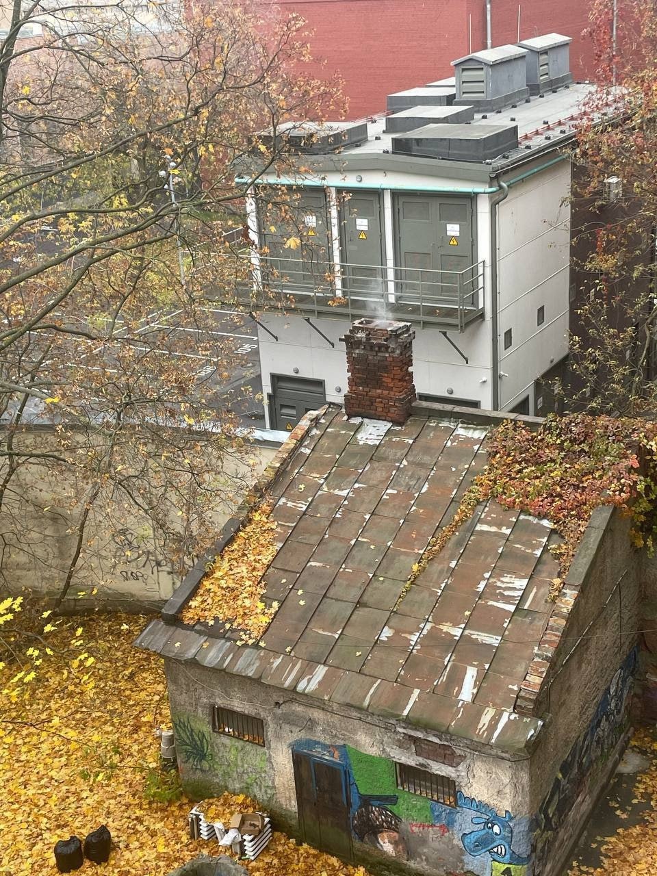 В одном из дворов Петербурга появилась «печка раздора»